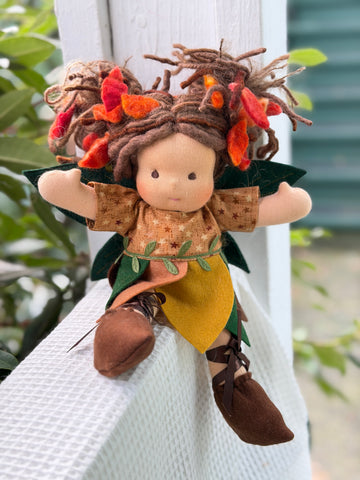 Piccolina Fairy - Aster